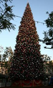 We offer at risk shopping hours on monday, check for individual store hours. Grove Christmas Tree Wikipedia