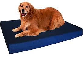 A large breed needs his bed. 12 Best Dog Beds For Large Dogs 2021 Review Dog Bed Reviews