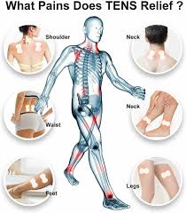 We did not find results for: Osito Tens Machine Digital Therapy Full Massager Pain Relief Acupuncture Sciatic Ebay