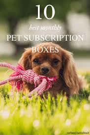 23 Best Pet Subscription Boxes For 2021 Dogs Cats Birds And More Pet Subscription Box Dog Subscription Subscription Boxes