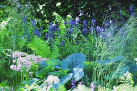 165 Likes 2 Comments Jamie Butterworth Plantsman Jamie On Instagram A Huge Congratulations To Chrisbeardshawdesign For Winnin In 2020 Instagram Outdoor Plants