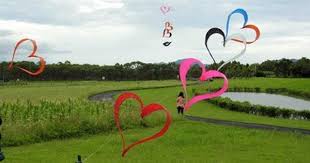 Focus Taiwan Wild Spirit Kite Festival Kite Flying