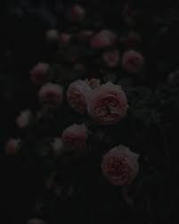 Maybe you would like to learn more about one of these? Pin On Wallpaper