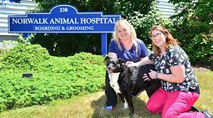 Accredited through the avma, ivma, & avds. Norwalk Animal Hospital Norwalk Veterinarians