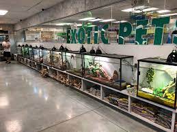1,353 likes · 6 talking about this · 50 were here. Exotic Pets Las Vegas Visit Reptiles Amino