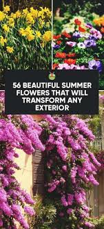 We did not find results for: 56 Beautiful Summer Flowers That Will Transform Any Exterior
