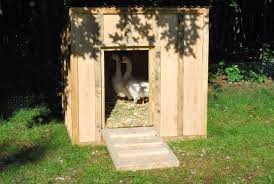 Garth sundem if you're not a builder or an architect, reading house plans can. Silkie Manor A New Goose House Goose House Chicken House Diy Backyard Ducks