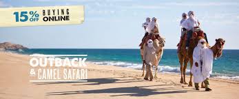 Horseback riding tours, boat tours. Cabo Adventures Leading Tour Activity Operator Cabo San Lucas San Jose Del Cabo Cabo Cabo San Lucas San Jose Del Cabo
