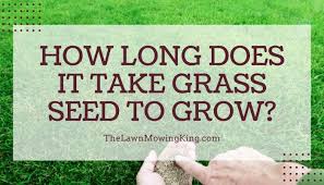 That's why mixing three types of grass seeds is an ideal option. How Long Does It Take Grass Seed To Grow The Lawn Mowing King