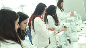 L'Università Federico II di Napoli terza migliore al mondo per Farmacia:  "Premiata la ricerca"