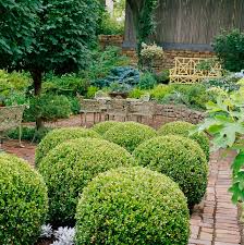 Introduced to america in 1652, boxwood shrubs have been gracing gardens since colonial times. Boxwood Better Homes Gardens