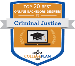 Top Bachelors For Online Criminal Justice Degree Programs