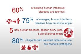 These are the years when january 1 falls o. One Health Oie Europe