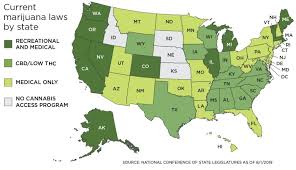 Joseph rosado, md, m.b.a, chief medical officer What Is Medical Marijuana And Facts You Need To Know