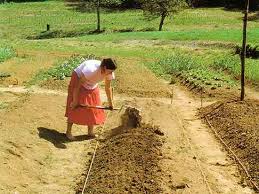 Check spelling or type a new query. Preparing The Soil Organic Gardening Mother Earth News