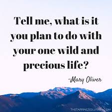Tell Me What Is It You Plan To Do With Your One Wild And Precious Life Mary Oliver How To Plan Quotes Words