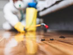 Pest exterminator in springvale me provides a variety of services including pest control, termite control and lawn care to many locations around springvale, me.… 19. Orkin Vs Terminix 2021 This Old House