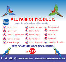 All Parrot Products Leading Online Parrot Store In Michigan Usa Parrot Parrot Toys Bird Supplies