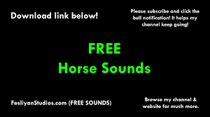 Free Horse Sound Effects Mp3 Download Fesliyanstudios