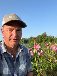 Image result for Crinum walteri