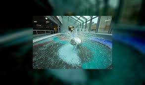 Stade Nautique Youri Gagarine Villejuif Piscine Baignade Bien Etre Relaxation France