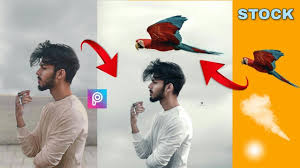 Vijay Mahar Bird Parrot Concept Artwork Photo Editing Picsart Vijay Mahar New Post Editing 2020 Https Www Photo Editing Desktop Background Pictures Picsart
