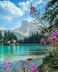 Cellya On Twitter In 2021 Beautiful Landscapes Scenic Pictures Beautiful Nature
