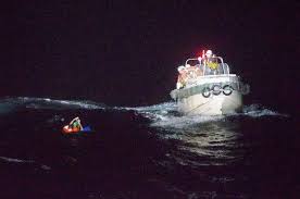 cattle ship capsizes off japan, leaving