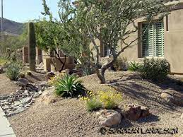 Front Yard Front Yard Landscaping Design Desert Landscape Front Yard Desert Landscaping