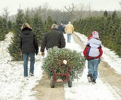 Check spelling or type a new query. Pick Your Christmas Tree Visit Santa And Snow Tube In Nh