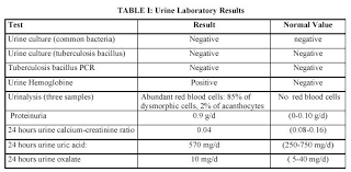Rev Electron Biomed Electron J Biomed 2005 3 29 34 Musso Et Al Gross Hematuria Solved With Enalapril