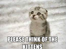 Maybe you would like to learn more about one of these? 20 Cute Cat Memes That Will Put You In A Good Mood Sayingimages Com