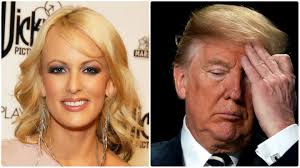 هنرپیشه پورنو: می توانم آزادانه در مورد رابطه‌ام با ترامپ اظهار نظر کنم |  Euronews