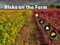 For those who want to borrow tokens for margin trading, the liquidity pool may be a useful source. Risks On The Farm How To Yield Farm Safely
