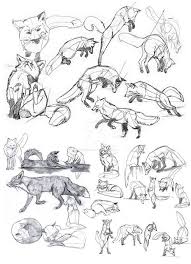 Animals Drawing 75 Picture Ideas Drawing Ideas And Tutorials Animal Drawings Animal Sketches Fox Drawing