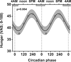 Human error can occur due to fatigue which can affect productivity, motivation, and mental clarity. The Internal Circadian Clock Increases Hunger And Appetite In The Evening Independent Of Food Intake And Other Behaviors Scheer 2013 Obesity Wiley Online Library