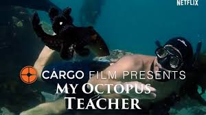 Enlightening, funny and amazing, a lesson in trusting yourself, and science. Cargo Films Presents My Octopus Teacher Youtube