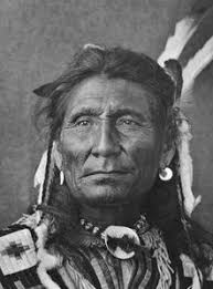 Baby Cheetah By Cara Fuller