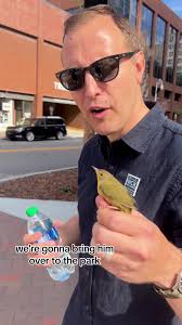 Savannah Bird Spiritual Meaning