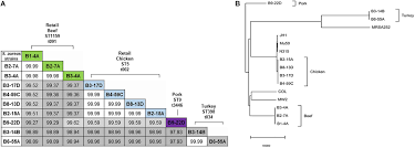 A person who has a valid. Frontiers Comparative Genomics Of Plasmid Bearing Staphylococcus Aureus Strains Isolated From Various Retail Meats Microbiology