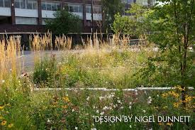 Thomas rainer and claudia west, two leading voices in ecological landscape design, reveal how plants fit together in nature and how to use this knowledge to create landscapes that are resilient, beautiful, and diverse. Pin On Lid Green Infrastructure Idea Book