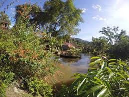 Villa kemboja batu pahataccommodation, batu pahat. Al Sakinah Eco Resort Picture Of Al Sakinah Eco Resort Janda Baik Tripadvisor