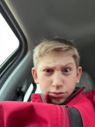 ISO Barn Job in Gastonia NC for Lessons