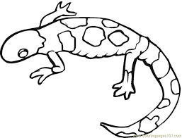 School's out for summer, so keep kids of all ages busy with summer coloring sheets. Gecko Lizards Coloring Page For Kids Free Lizard Printable Coloring Pages Online For Kids Coloringpages101 Com Coloring Pages For Kids