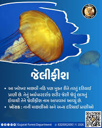 Image result for Anticharis