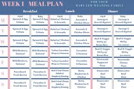 Baby Led Weaning Family Meal Plan Family Style Nutrition Baby Led Weaning Baby Led Weaning Recipes Baby Meal Plan