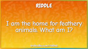 20 animal riddles for kids. I Am The Home For Feathery Animals What Am I Riddle Answer Brainzilla