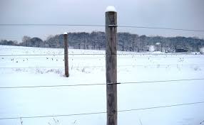 Click to add item 5/16 x 4' electric fence post to your list. Winterizing Your Electric Fence