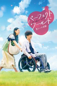 Perfect World (2018) directed by Kenji Shibayama • Reviews, film + cast •  Letterboxd