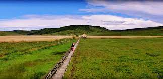 Stufarisurile de la sic, un loc surprinzator in apropiere de cluj, o excursie de o zi minunata in natura. StufÄƒrisul De La Sic Paradisul De LangÄƒ Cluj Pe Care Trebuie NeapÄƒrat SÄƒ Il Vezi Video Cluju Ro